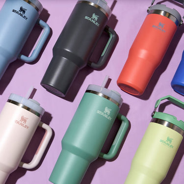 Trending Stanley Water Bottle